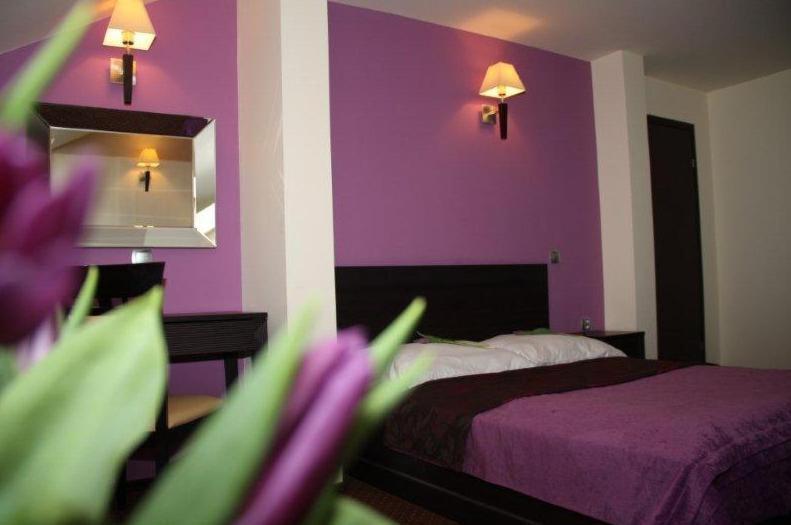 Hotel Wasik Krogulcza Δωμάτιο φωτογραφία